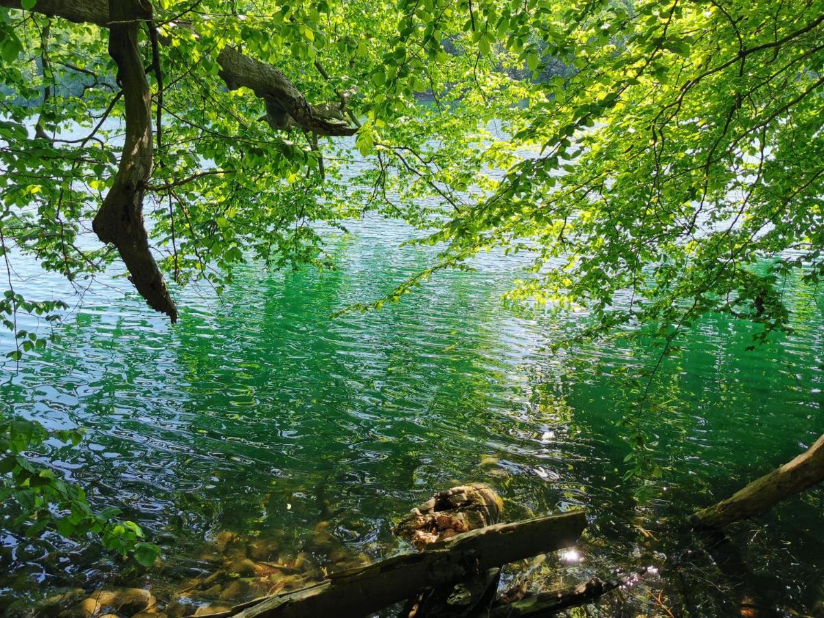 Tweet Tohuus Apartment Feldberger Seenlandschaft ภายนอก รูปภาพ